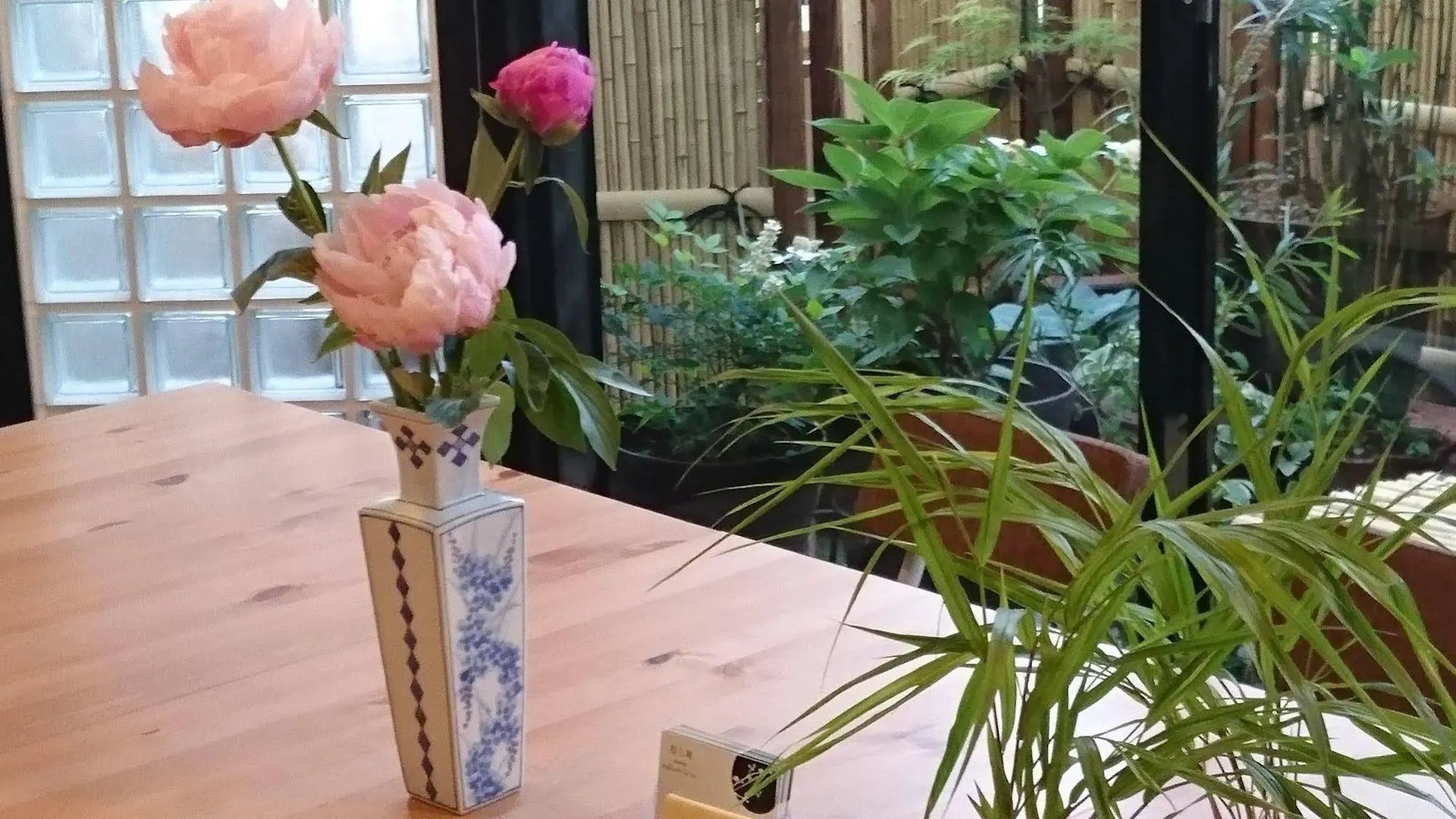 Hostel Sakura La An Osaka Japan
